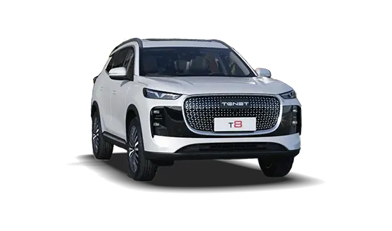 T8