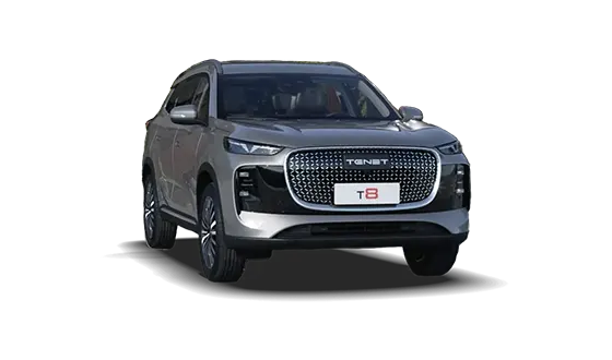 T8