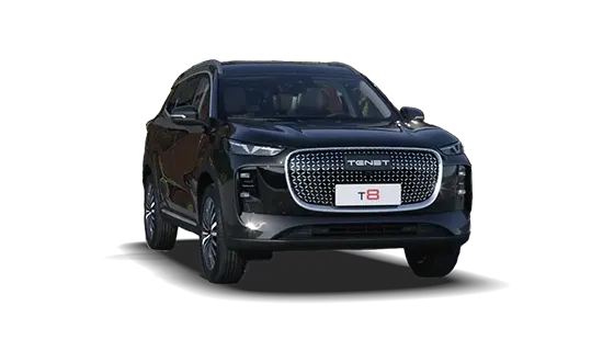 T8