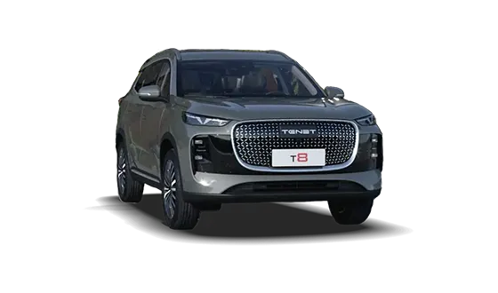 T8