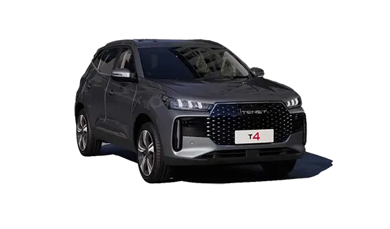 T4